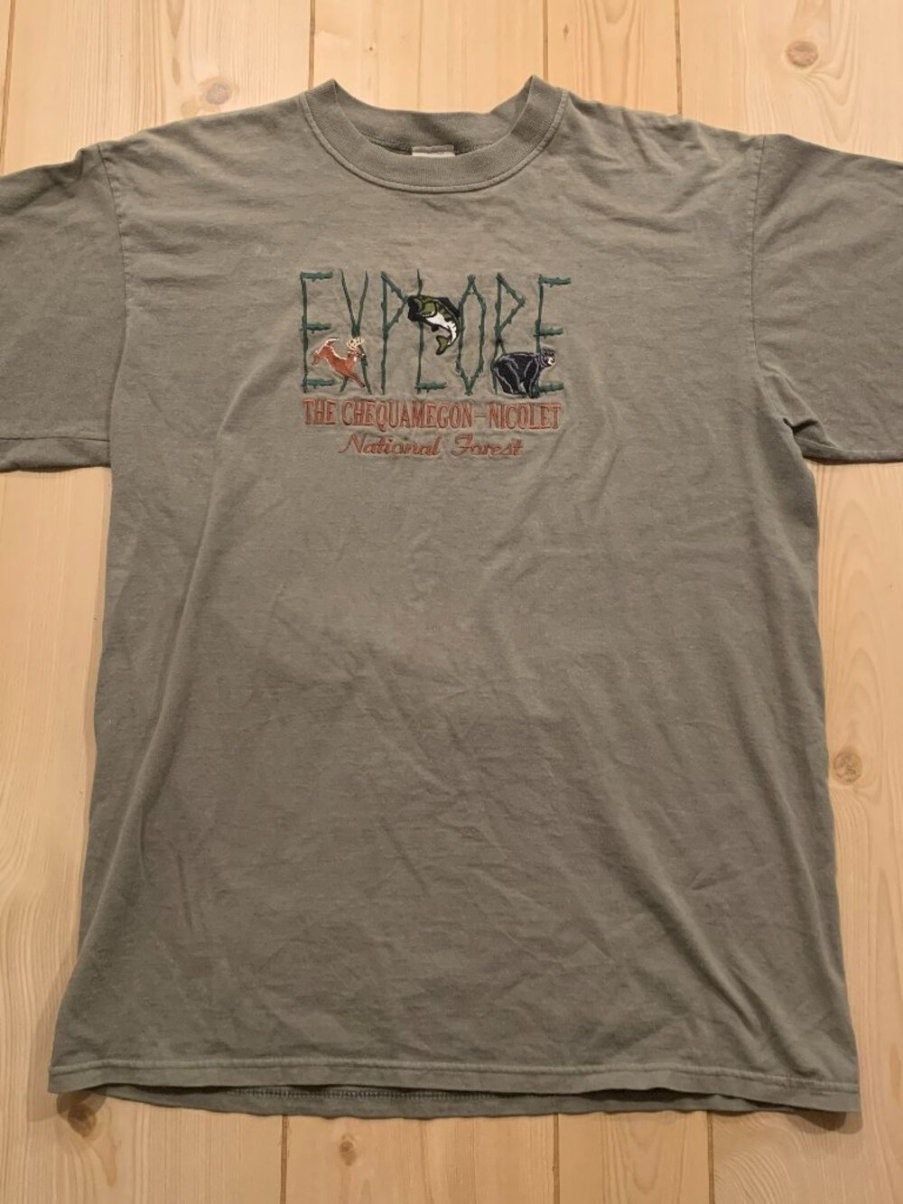 Vintage Y2K Explore Chequamegon-Nicolet National Forest Wisconsin T-Shirt Size M